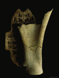 A Shang Diviner Used This Turtles Shell and Ox Bone to Make Predictions