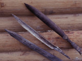 A Close View of a Blow Gun and Arrows Found on the Expedition