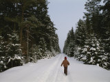 Polish Child Walking on a Snowy Road in Bialowieza Forest