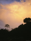 A Rainbow Arcs Across a Jungle Scene