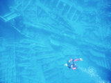 A Diver Explores the Wreck of the RMS Rhone