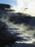 Steam Rises from the Terraced Mammoth Hot Springs