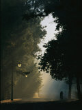 A Bicyclist Travels Down an Empty Street on a Misty Morning