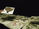 Dried Plant Specimens in a Lab of the National Biodiversity Institute