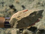 Primitive Stone Tool from an Early Hominid  Olorgasalie  Kenya