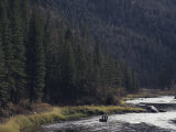Fishing for Steelhead on the Salmon River