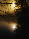 The Morning Sun is Reflected on Otter Lake