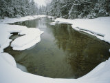 A Snowy Woodland View with Creek and Evergreens