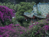 Formal Gardens Around Tile Roofed Chinese Style Building