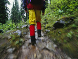 A Blurred View of a Hiker Trekking Through Yoho National Park