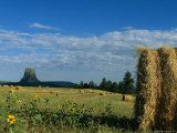 A View of Devils Tower from Across a Hay Field