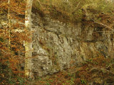 Raven Rock and Autumn Colored Beech Trees Along the Cape Fear River