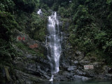 Waterfall Cascading Down Rock Face in Subtropical Rainforest