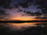 A Lone Bird Stands in Water with Reflections at Twilight