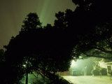 Light Shining in Rays Behind Silhouetted Trees at Night