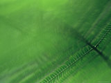 Leaf Patterns