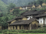 Terraced Village with Tiled Roofs and Mud Brick Houses  Rice Fields  Yang River Canyon