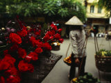 A Fruit Vendor in a Conical Hat Passes by Red Roses for Sale