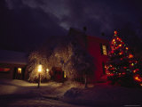 Night View of a Snow-Covered Home and Yard with a Christmas Tree