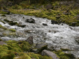 Icy Waters of Maroon Creek Flow Between Moss Covered Rocks