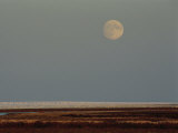 A Full Moon Rises Over Wapusk National Park