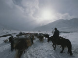 Migrating Family on a High Plateau in the Hordil Mountains