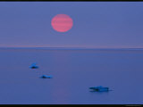 Sunset Over Calm Hudson Bay Waters Dotted with Small Ice Chunks