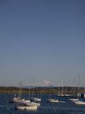 Mt Baker Looms Over a Harbor Full of Sailboats