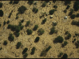 Aerial View of Cemetery Plots
