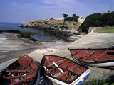 Boats Decorate the Edge of Walker Bay in Hermanus  South Africa  Hermanus  Republic of South Africa