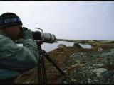 A Wildlife Photographer Captures Wapusk Wildlife on Film