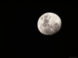 Large  Clear-Featured Moon on a Black Background  Chobe National Park  Botswana