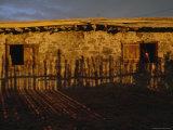Horse Stables at a Dry Creek Ranch  Nevada