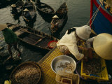 Women in Conical Hats Bring Ashore Baskets of Shrimp from Boats