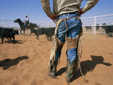 A Cowboy Rounds up Some Cattle for Branding