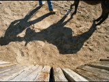 Cowboys Begin the Process of Breaking a Young Horse