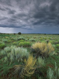 Sage and Storm Clouds Near Gallup
