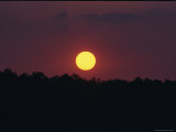 The Sun Sets over a Line of Trees