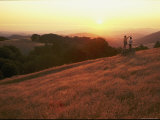 Hikers Look over the Landscape at the Volcan Mountain Preserve