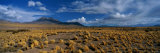 A Wide-Angle View of Altiplano  Chile