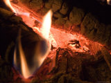 A Close View of Burning Logs in a Campfire