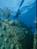 A Diver Descends Behind the Encrusted Boiler of a Shipwreck Near Bermuda