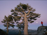 A Hiker Watches the Moon Rise over Carson Pass