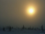 Snow Scene with Sun