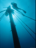 A Diver Swims Near the Mast of a Shipwreck Near Bermuda