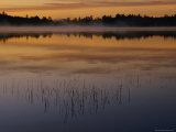 A Curtain of Mist Veils the Surface of Kidney Pond