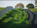 Rolling Hills of Virginia