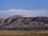 View of Windmills on a Wind Energy Farm
