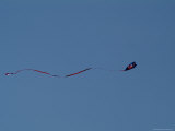 Kite Flying against a Blue Sky