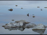Rocks Reflected in the Water at Mono Lake